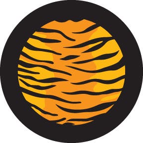 Multi Color Tiger Print Glasgobo färg, B-size (86mm) - Rosco | Bellalite Multi Color Tiger Print Glasgobo färg, B-size (86mm) - Rosco | Bellalite