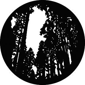 Tall Trees Metallgobo, (50mm/38mm) - Rosco | Bellalite Tall Trees Metallgobo, (50mm/38mm) - Rosco | Bellalite