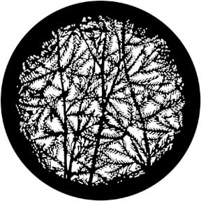 Leafy Branches 4 Metallgobo, M-Size (66mm) - Rosco | Bellalite Leafy Branches 4 Metallgobo, M-Size (66mm) - Rosco | Bellalite