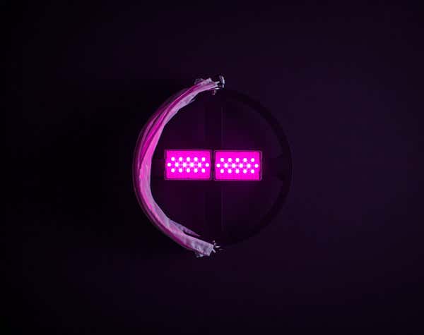 Lightsock Dome - Lightsock | Bellalite Lightsock Dome - Lightsock | Bellalite