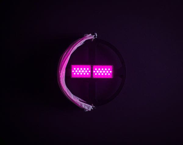 Lightsock Dome - Lightsock | Bellalite Lightsock Dome - Lightsock | Bellalite