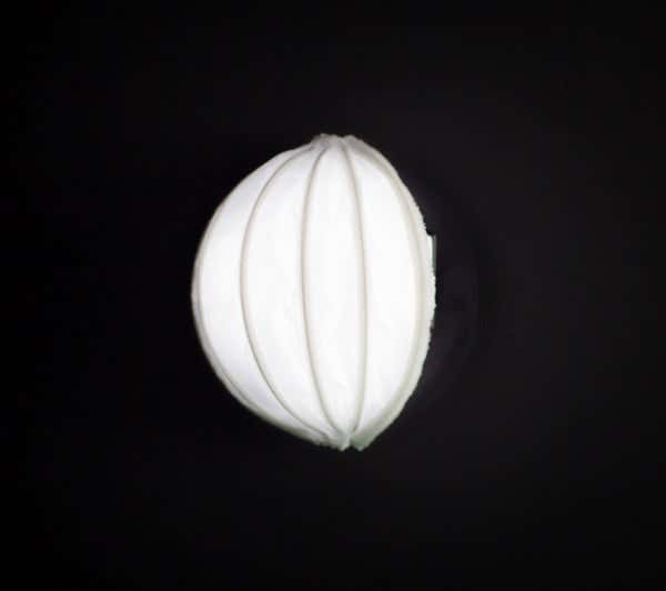 Lightsock Dome - Lightsock | Bellalite Lightsock Dome - Lightsock | Bellalite