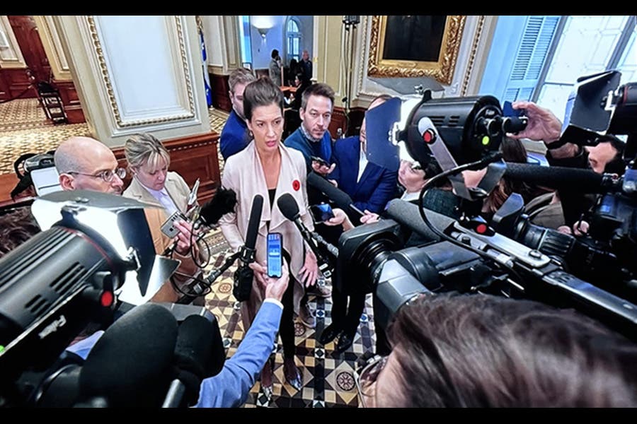 Fiilex P180S ENG On-Camera Light - FIILEX | Bellalite Fiilex P180S ENG On-Camera Light - FIILEX | Bellalite