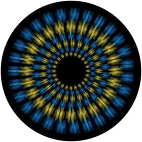 Flower Focus Glasgobo färg, E-Size (37,5mm) - Rosco | Bellalite Flower Focus Glasgobo färg, E-Size (37,5mm) - Rosco | Bellalite