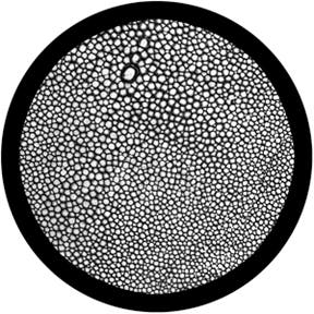 Snakeskin Glasgobo s/v, D-Size (53,3mm) - Rosco | Bellalite Snakeskin Glasgobo s/v, D-Size (53,3mm) - Rosco | Bellalite