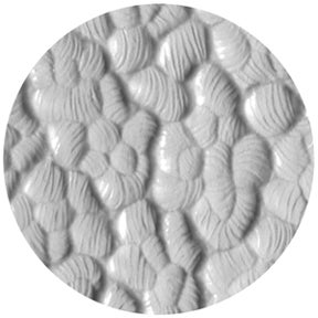 Hammered - Rosco | Bellalite Hammered - Rosco | Bellalite