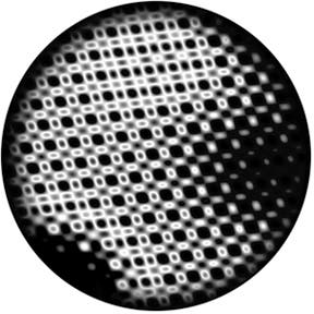 Halftones Glasgobo s/v, Size: (ange storlek) - Rosco | Bellalite Halftones Glasgobo s/v, Size: (ange storlek) - Rosco | Bellalite